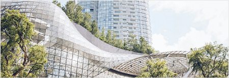 Special Curved Tempered Glass